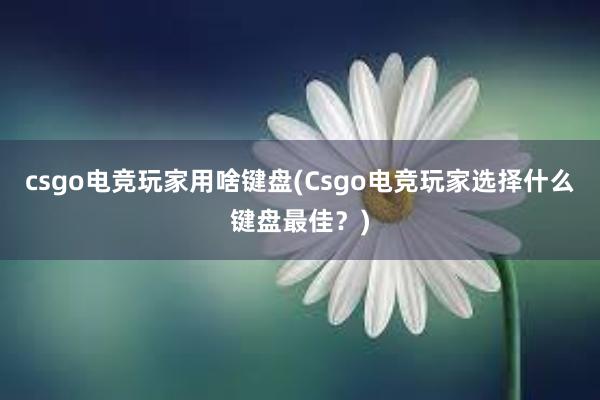 csgo电竞玩家用啥键盘(Csgo电竞玩家选择什么键盘最佳？)