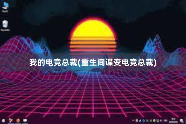 我的电竞总裁(重生间谍变电竞总裁)